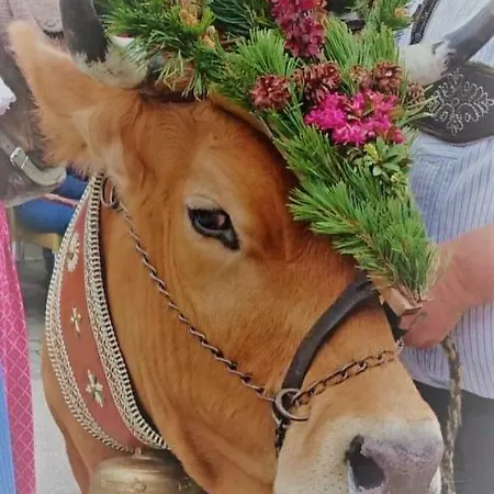 Apartamento Hoernlestubn Bad Kohlgrub