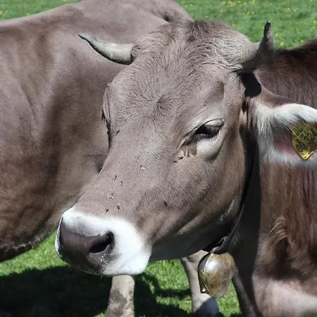 Hoernlestubn Lejlighed Bad Kohlgrub
