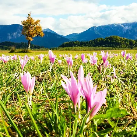 Lejlighed Hoernlestubn